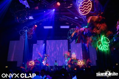 CLAP & Grey Goose pres. ALOHA Party at ONYX — photo 42