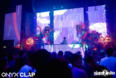 CLAP & Grey Goose pres. ALOHA Party at ONYX — photo 44
