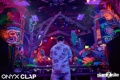 CLAP & Grey Goose pres. ALOHA Party at ONYX — photo 46
