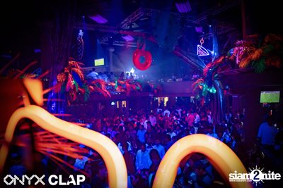 CLAP & Grey Goose pres. ALOHA Party at ONYX — photo 47