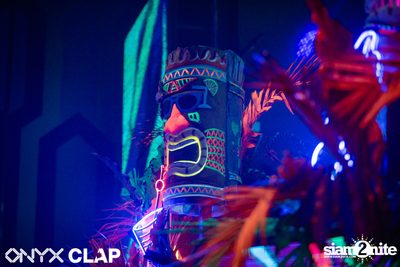 CLAP & Grey Goose pres. ALOHA Party at ONYX — photo 51