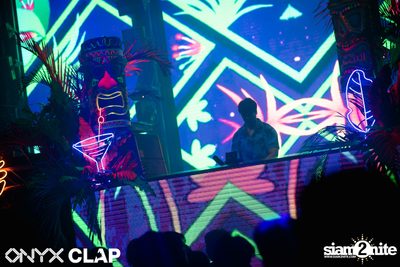 CLAP & Grey Goose pres. ALOHA Party at ONYX — photo 56