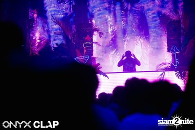 CLAP & Grey Goose pres. ALOHA Party at ONYX — photo 57