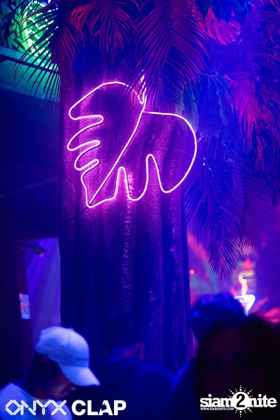 CLAP & Grey Goose pres. ALOHA Party at ONYX — photo 60