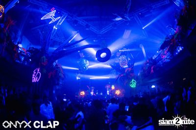 CLAP & Grey Goose pres. ALOHA Party at ONYX — photo 77