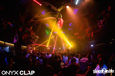 CLAP & Grey Goose pres. ALOHA Party at ONYX — photo 97
