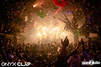 CLAP & Grey Goose pres. ALOHA Party at ONYX — photo 102