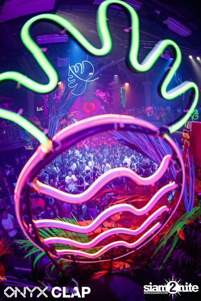 CLAP & Grey Goose pres. ALOHA Party at ONYX — photo 126