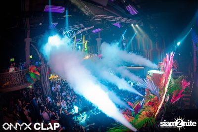 CLAP & Grey Goose pres. ALOHA Party at ONYX — photo 130