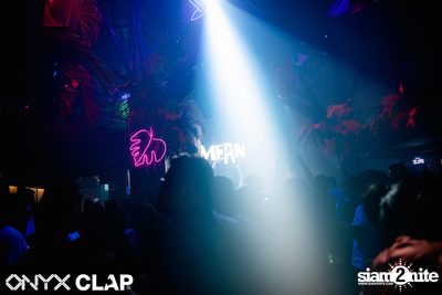CLAP & Grey Goose pres. ALOHA Party at ONYX — photo 144