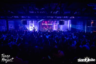 Tease Project presents Tattoo Colour at DND Club — photo 45