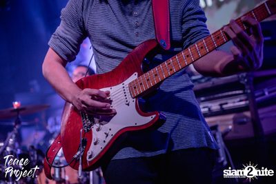 Tease Project presents Tattoo Colour at DND Club — photo 74