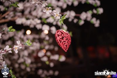 Valentine's Day at AINU Bar — photo 35