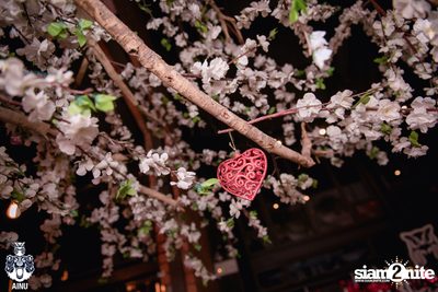 Valentine's Day at AINU Bar — photo 37