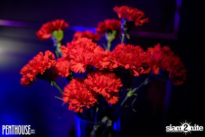 Valentine's Day Round Two at Penthouse Bar — photo 5