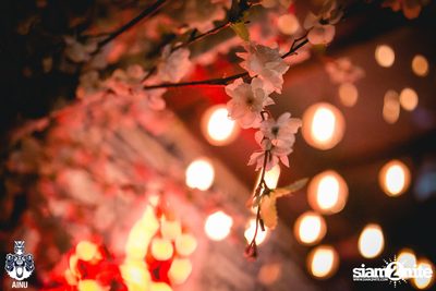 Thursday Night at Ainu Bar — photo 57
