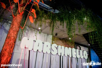 Marshmello Live in Bangkok 2019 (อัลบั้มที่ 2) — photo 14