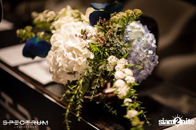Spectrum Lounge & Bar Launch Party — photo 13
