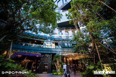 Spectrum Lounge & Bar Launch Party — photo 35
