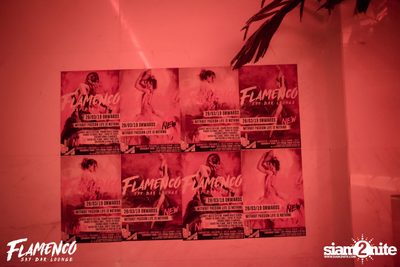 Flamenco Launch Party at EmQuartier — photo 1