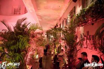 Flamenco Launch Party at EmQuartier — photo 4