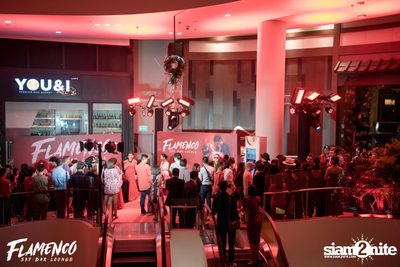 Flamenco Launch Party at EmQuartier — photo 7