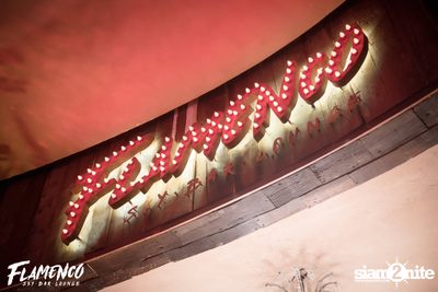 Flamenco Launch Party at EmQuartier — photo 10
