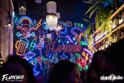 Flamenco Launch Party at EmQuartier — photo 18