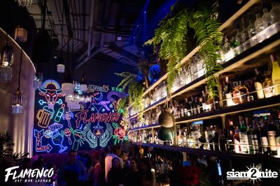 Flamenco Launch Party at EmQuartier — photo 20