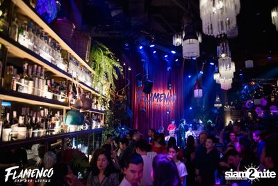 Flamenco Launch Party at EmQuartier — photo 28
