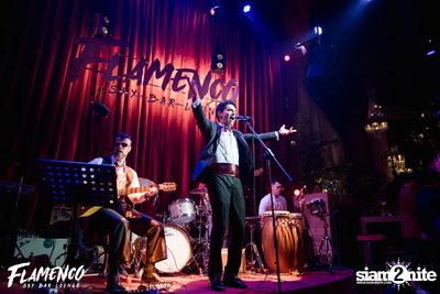 Flamenco Launch Party at EmQuartier — photo 32