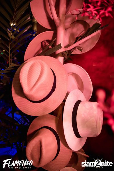 Flamenco Launch Party at EmQuartier — photo 35