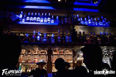 Flamenco Launch Party at EmQuartier — photo 47