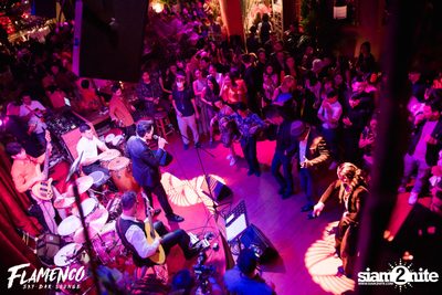 Flamenco Launch Party at EmQuartier — photo 73