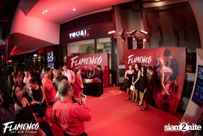 Flamenco Launch Party at EmQuartier — photo 104