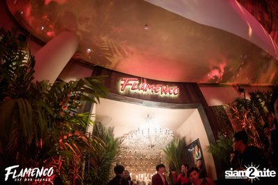 Flamenco Launch Party at EmQuartier — photo 108
