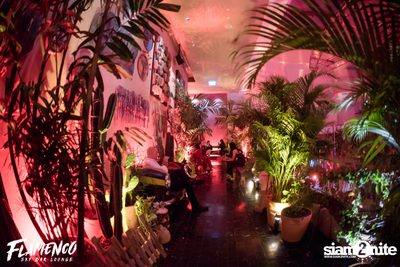Flamenco Launch Party at EmQuartier — photo 109
