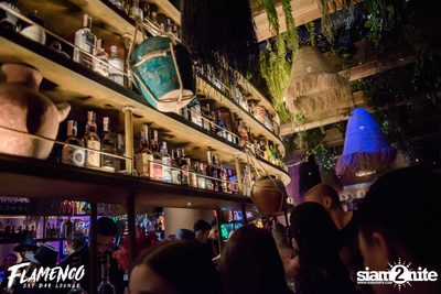 Flamenco Launch Party at EmQuartier — photo 123