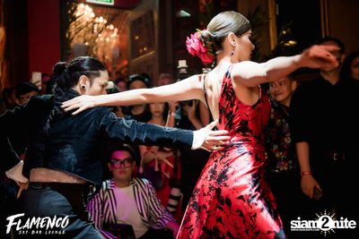 Flamenco Launch Party at EmQuartier — photo 159