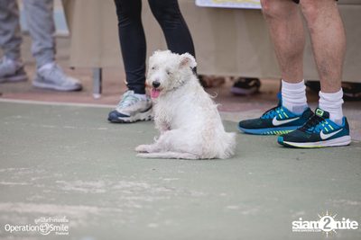 Vertical Miles for Smiles at Fortune Town — photo 225