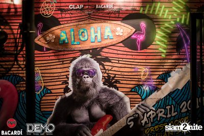 CLAP & Bacardi present Aloha Party at DEMO — photo 1