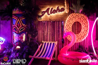 CLAP & Bacardi present Aloha Party at DEMO — photo 2