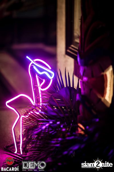 CLAP & Bacardi present Aloha Party at DEMO — photo 20