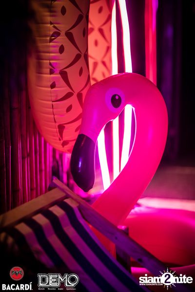 CLAP & Bacardi present Aloha Party at DEMO — photo 21