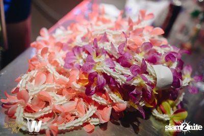 Wild Beat Songkran 2019 at Wine Bridge Plus — photo 3
