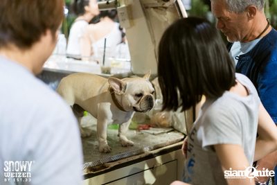 Singha Summer Splash 2019 at One Nimman — photo 71