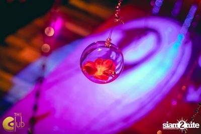 The Club at Koi First Anniversary (Album 1) — photo 5