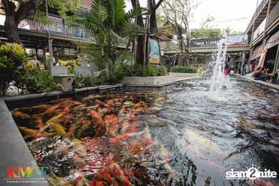 New Jiew at Food Villa Ratchapruek — photo 60