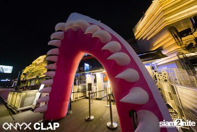 CLAP x Grey Goose: Cruise Club Party at ONYX — photo 1