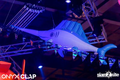 CLAP x Grey Goose: Cruise Club Party at ONYX — photo 11